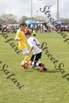 IMG_0033 (cam 0)