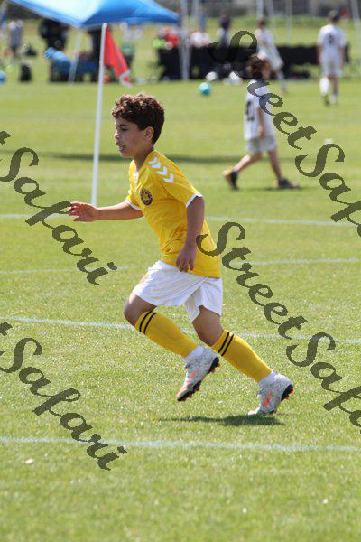 IMG_0088 (cam 0)