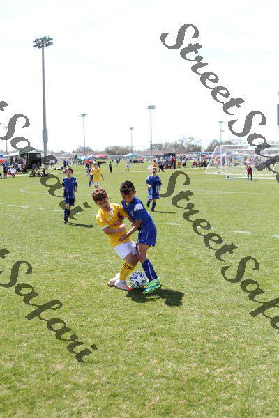 IMG_0101 (cam 0)