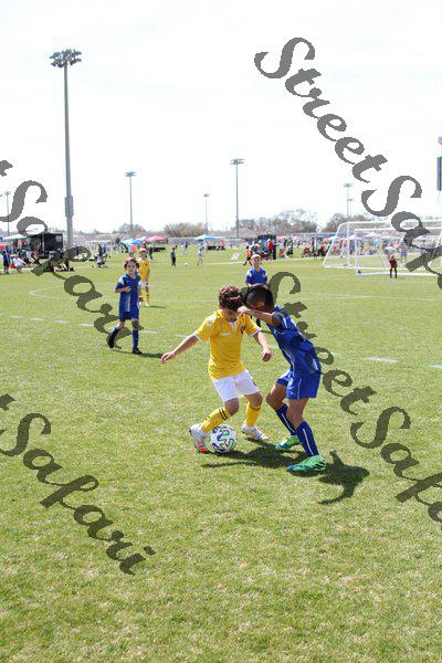 IMG_0102 (cam 0)