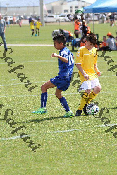 IMG_0210 (cam 0)