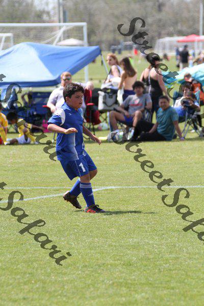 IMG_0219 (cam 0)