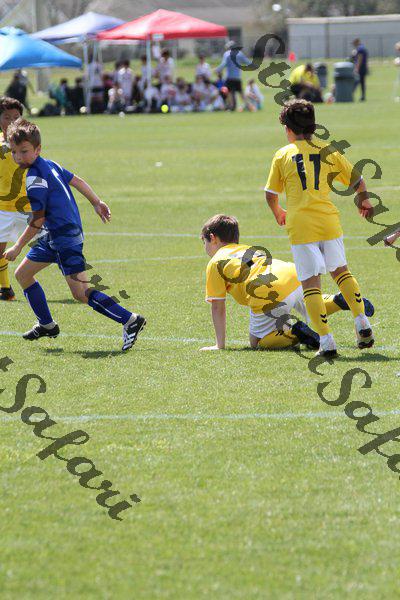 IMG_0224 (cam 0)