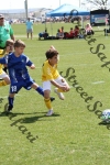 IMG_0072 (cam 0)