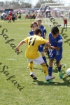 IMG_0104 (cam 0)