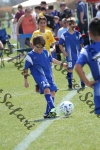 IMG_0192 (cam 0)