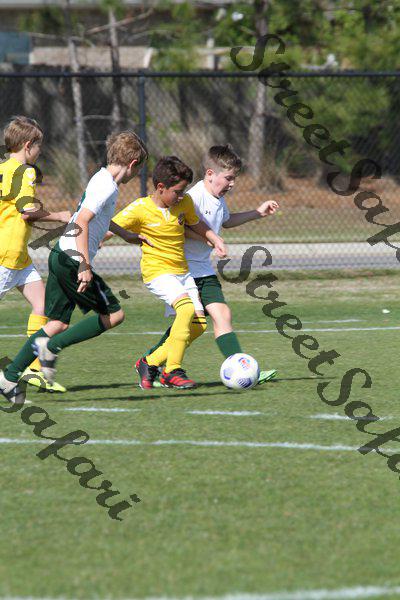 IMG_0055 (cam 0)