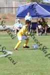 IMG_0010 (cam 0)