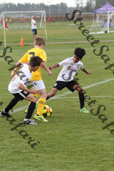 IMG_0005 (cam 0)
