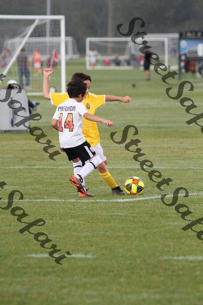 IMG_0016 (cam 0)