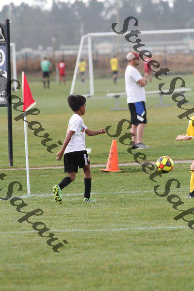 IMG_0035 (cam 0)