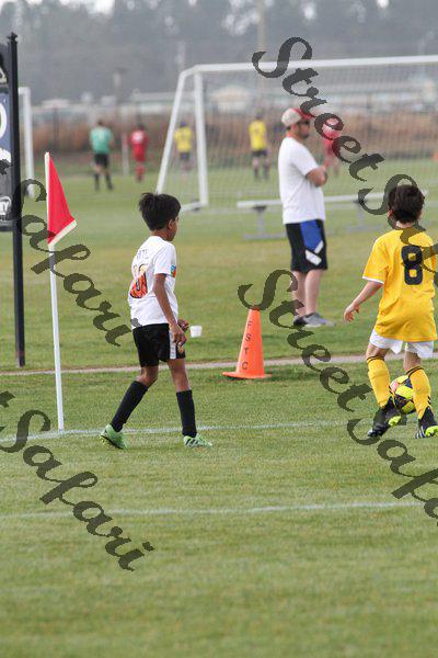 IMG_0036 (cam 0)