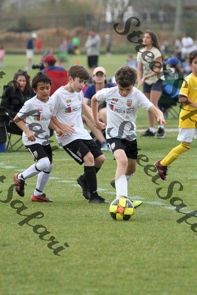 IMG_0130 (cam 0)