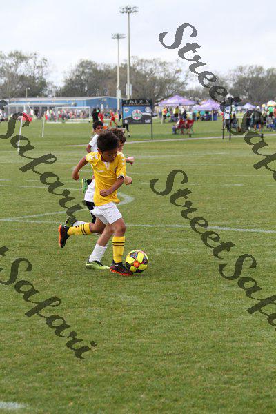IMG_0137 (cam 0)