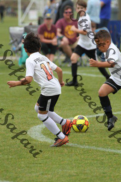 IMG_0159 (cam 0)