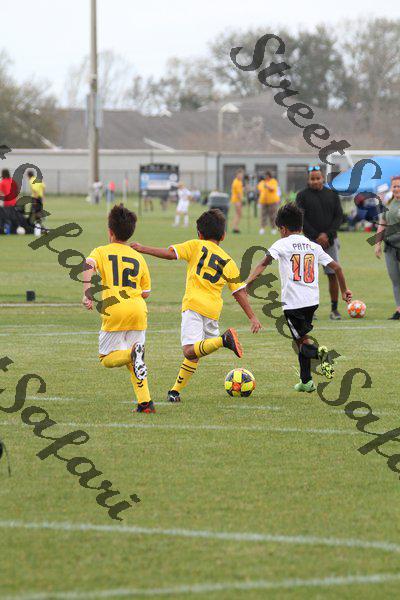 IMG_0184 (cam 0)