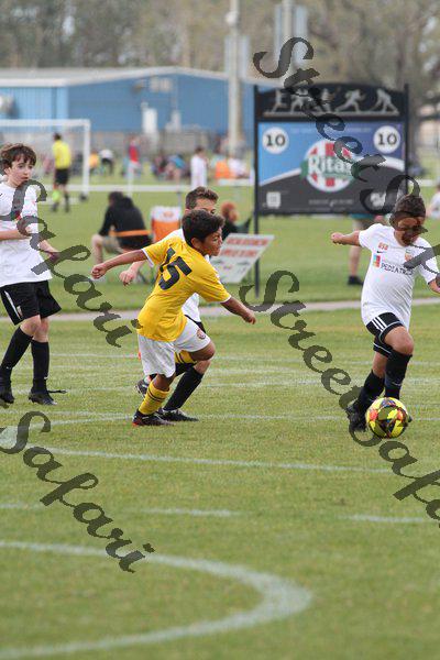 IMG_0188 (cam 0)