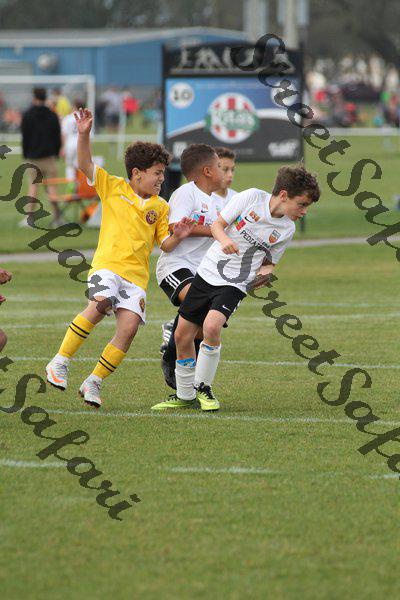 IMG_0234 (cam 0)
