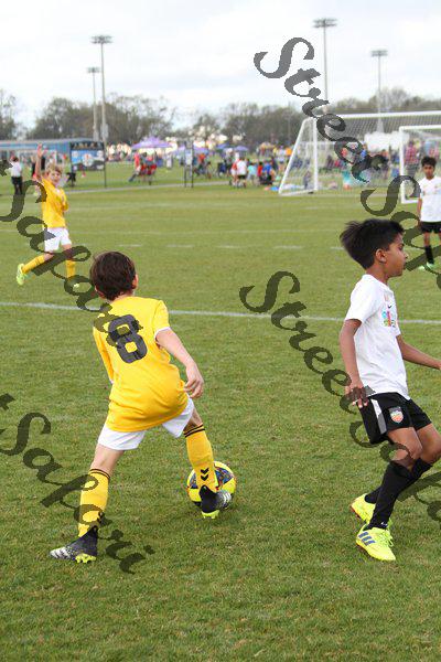 IMG_0245 (cam 0)