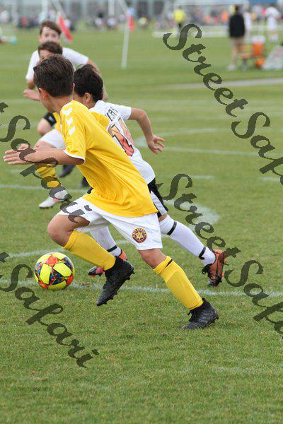 IMG_0252 (cam 0)