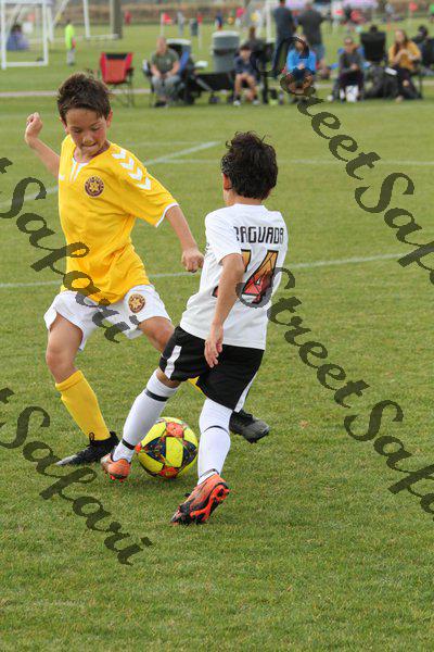 IMG_0266 (cam 0)