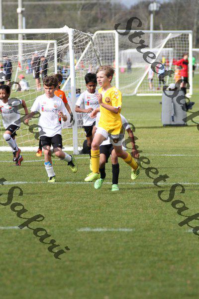 IMG_0284 (cam 0)