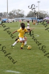 IMG_0136 (cam 0)