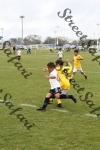 IMG_0171 (cam 0)