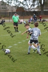 IMG_0025 (cam 0)