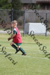 IMG_0004 (cam 0)