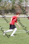 IMG_0052 (cam 0)