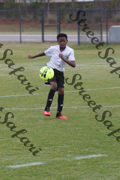 IMG_0032 (cam 0)