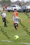 IMG_0042 (cam 0)