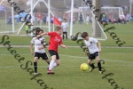 IMG_0046 (cam 0)