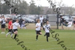 IMG_0111 (cam 0)