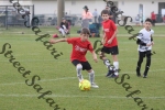 IMG_0133 (cam 0)