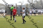 IMG_0175 (cam 0)