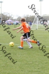 IMG_0046 (cam 0)