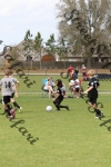IMG_0035 (cam 0)