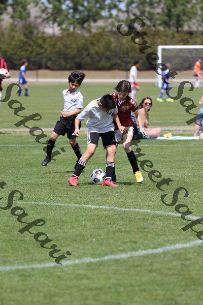 IMG_0019 (cam 0)