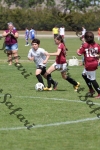 IMG_0003 (cam 0)