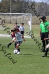 IMG_0101 (cam 0)