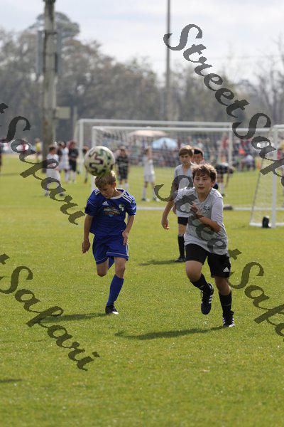 IMG_0195 (cam 0)