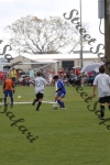 IMG_0146 (cam 0)