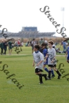 IMG_0208 (cam 0)