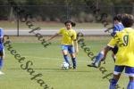 IMG_0081 (cam 0)
