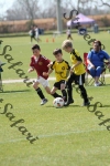 IMG_0094 (cam 0)