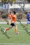 IMG_0003 (cam 0)