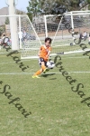 IMG_0147 (cam 0)