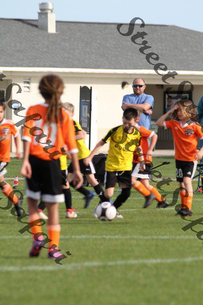 IMG_0084 (cam 0)